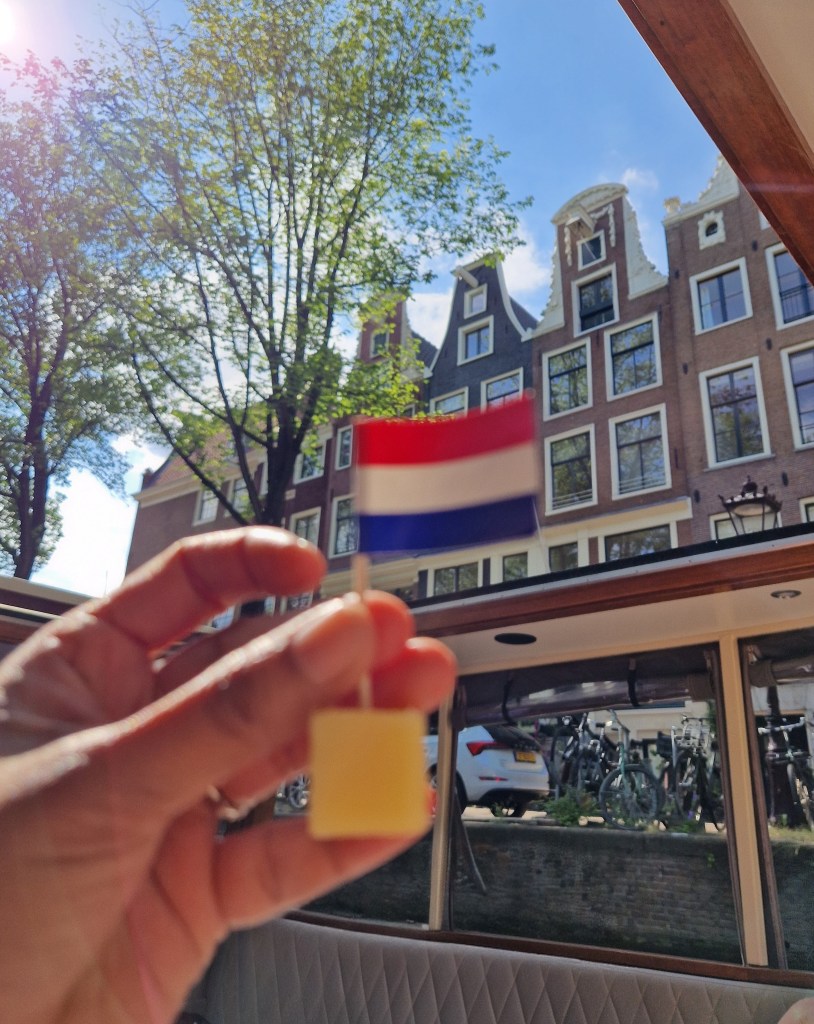A flag of Netherlands on a cube of Dutch cheese with classic Dutch houses in the background