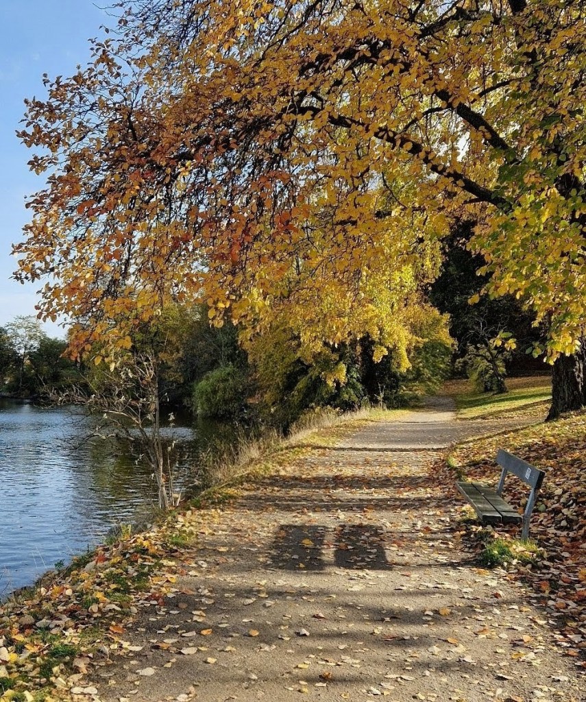 walking trail along Djurgården, Stockholm, in Autumn