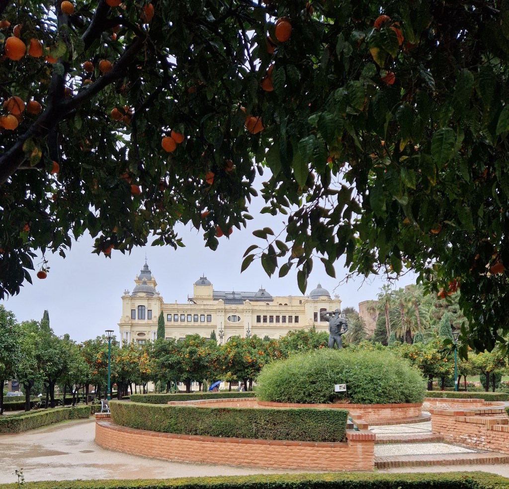 Orange laden trees in Malaga near Castillo del Gibralfaro