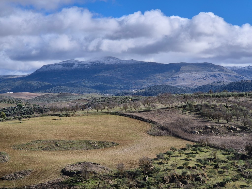 Remnants of the old defensive walls of Ronda. Sweeping views open across the countryside, dotted with white houses and rolling hills stretching far into the distance.