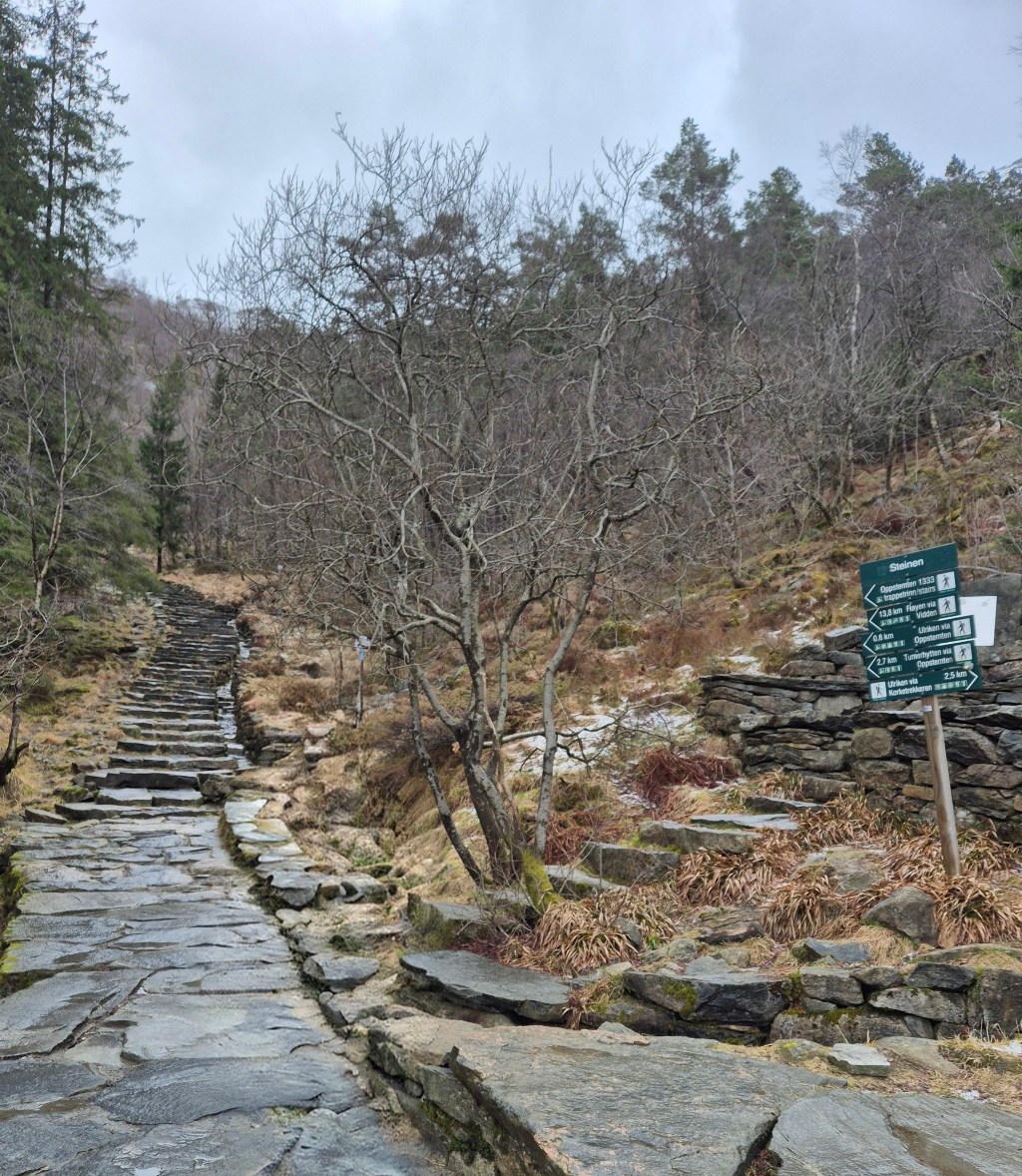 Hiking Mount Ulriken via the Sherpa Steps: Bergen’s Most Rewarding&nbsp;View