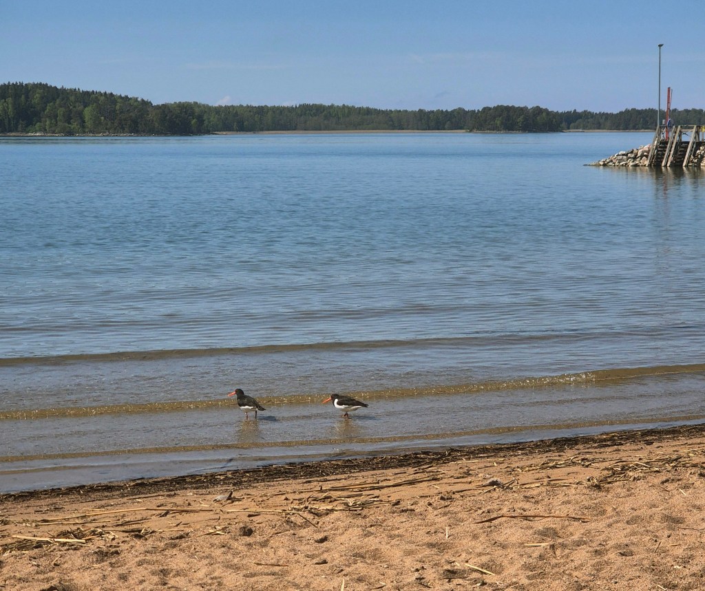 Ruissalo island in the Turku archipelago