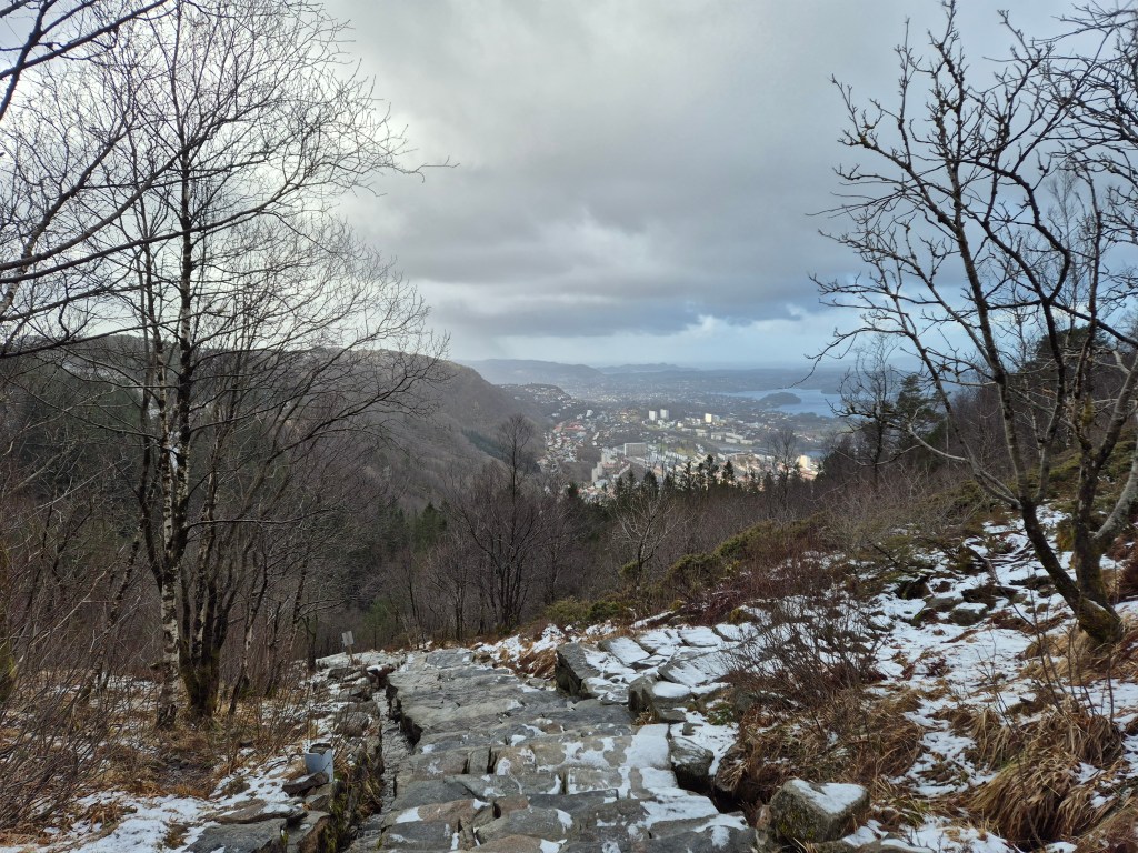 View from the Sherpa steps in Bergen en route to Ulriken
