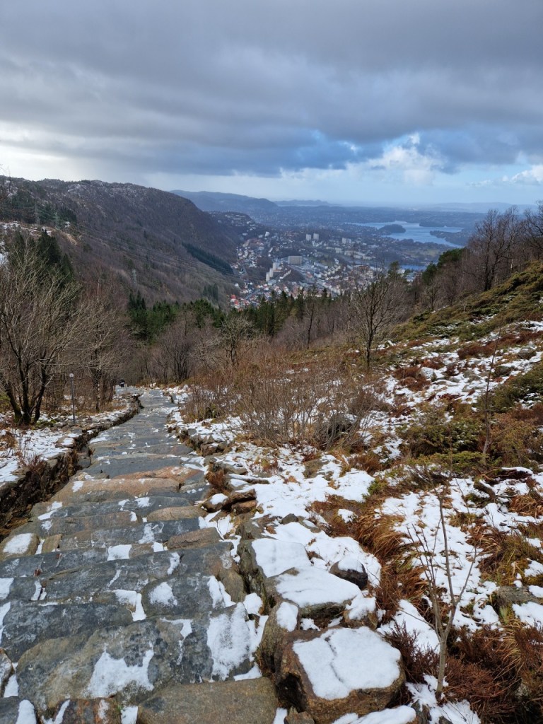 View from the Sherpa steps in Bergen en route to Ulriken