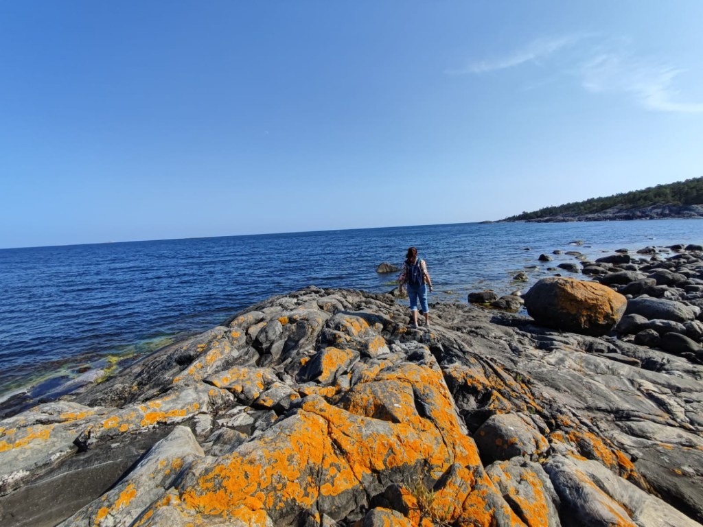 Nåttarö in the southern Stockholm archipelago
